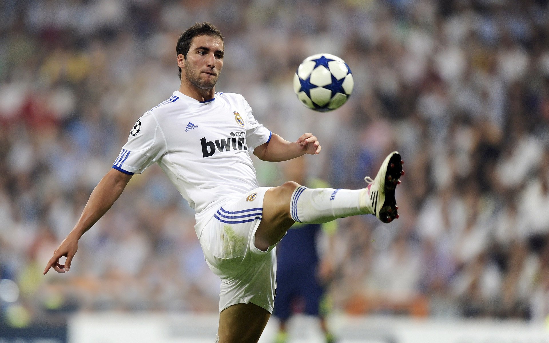 “未来足球明星的摇篮——全国青少年足球培训基地”,青少年足球培训机构有哪些品牌