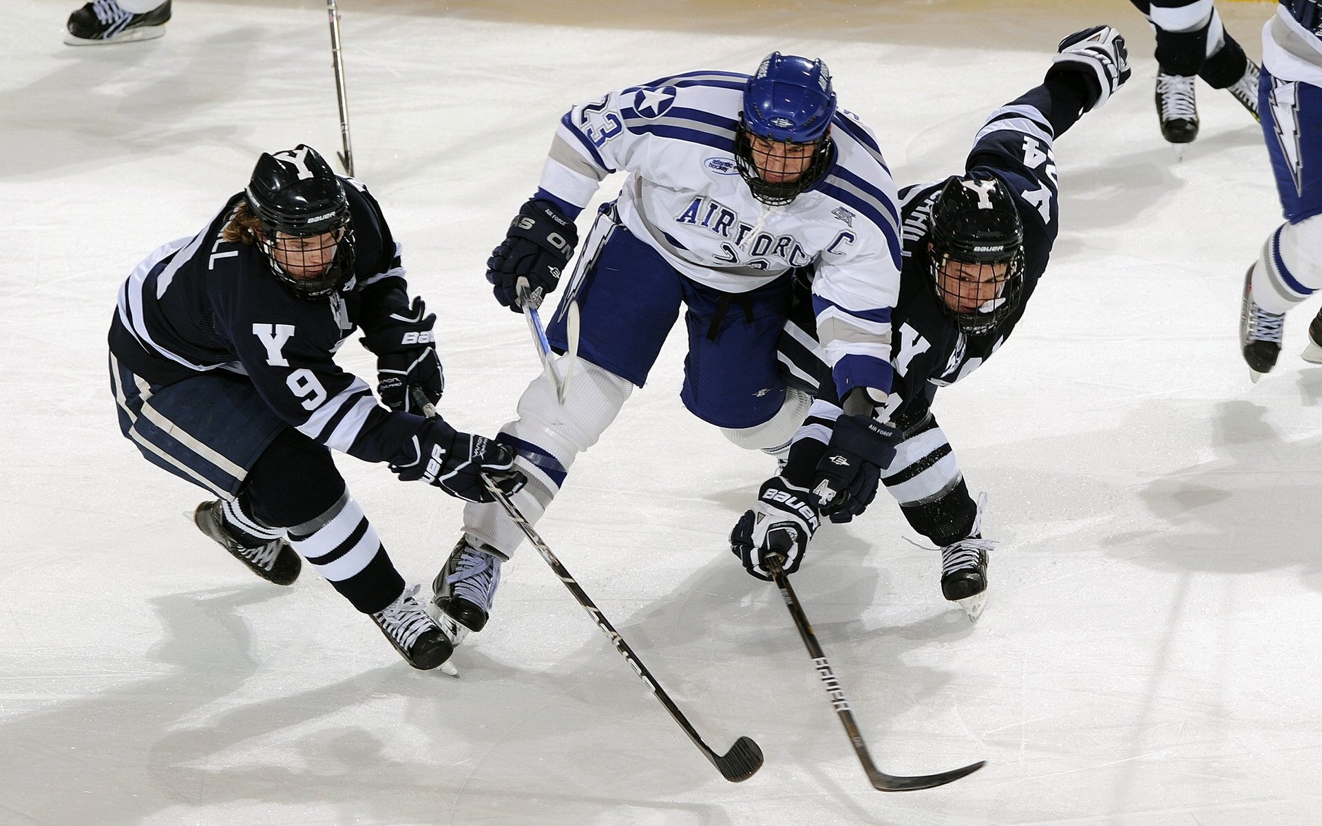 具有挑战性的大型障碍跳跃赛,勇者的专属舞台,跳障碍物玩法